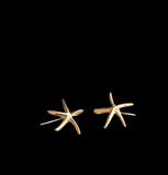 Gold Starfish Earrings