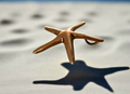 Solid Gold Starfish/SeaStar  Pendant