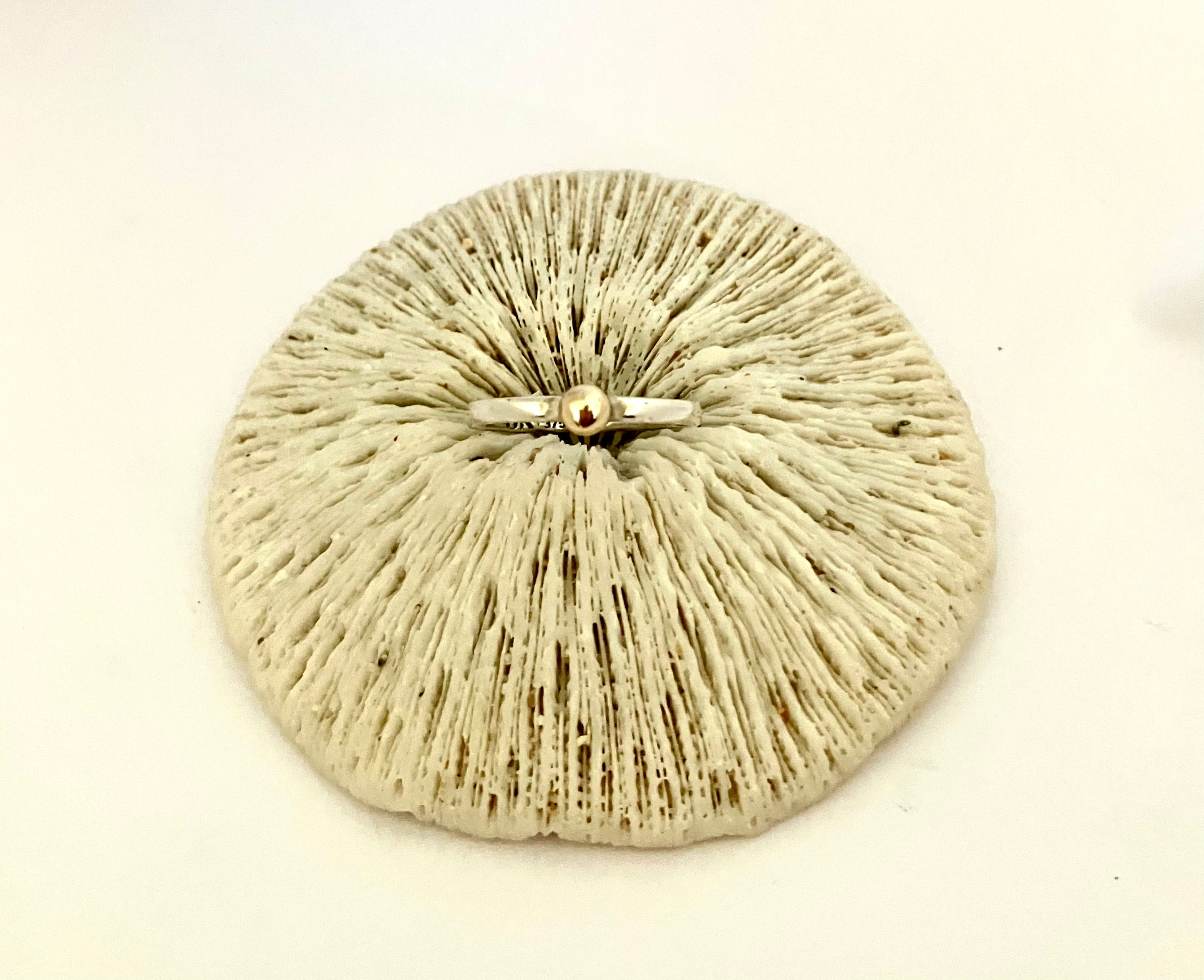 Gold& Silver Ring