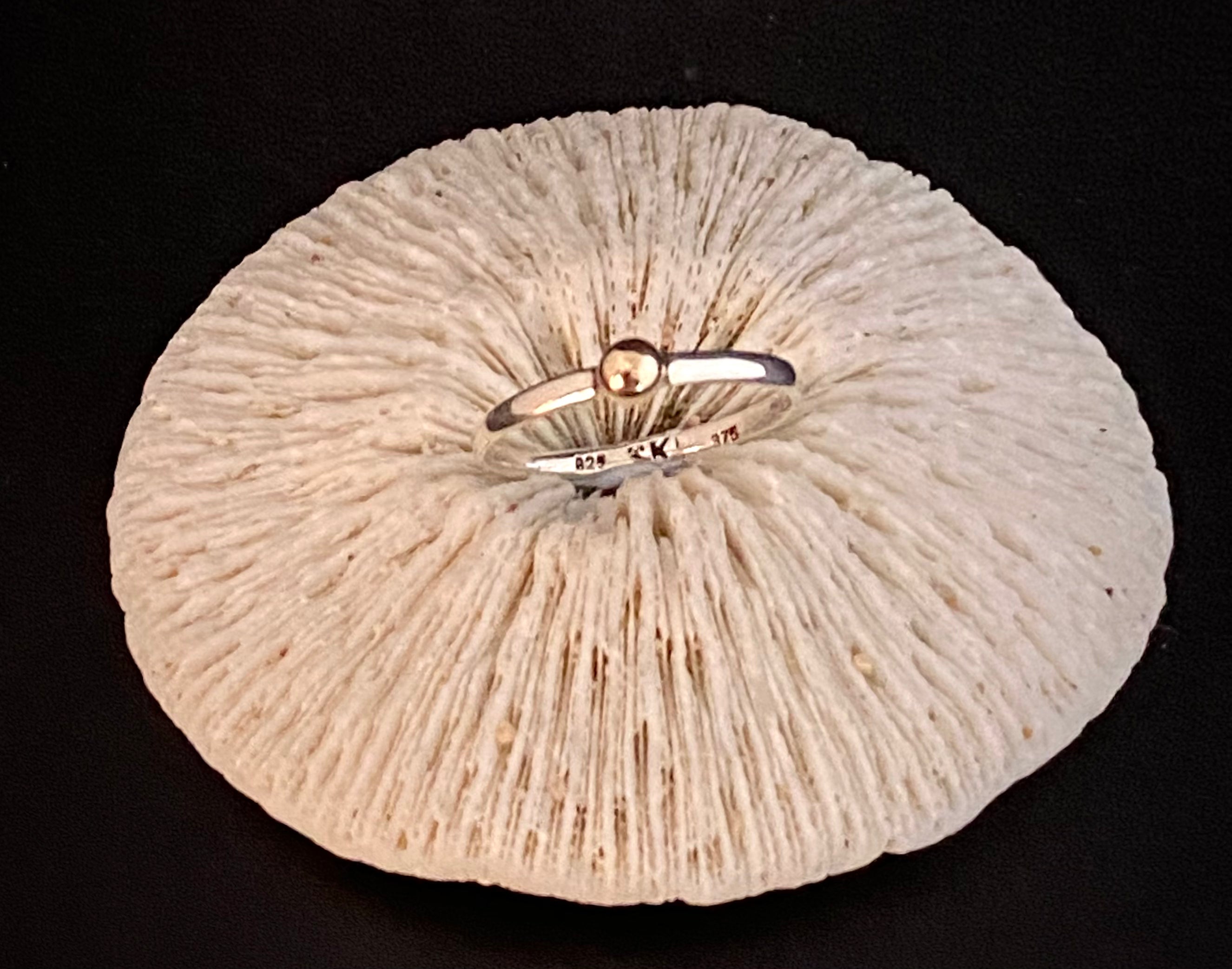 Gold& Silver Ring
