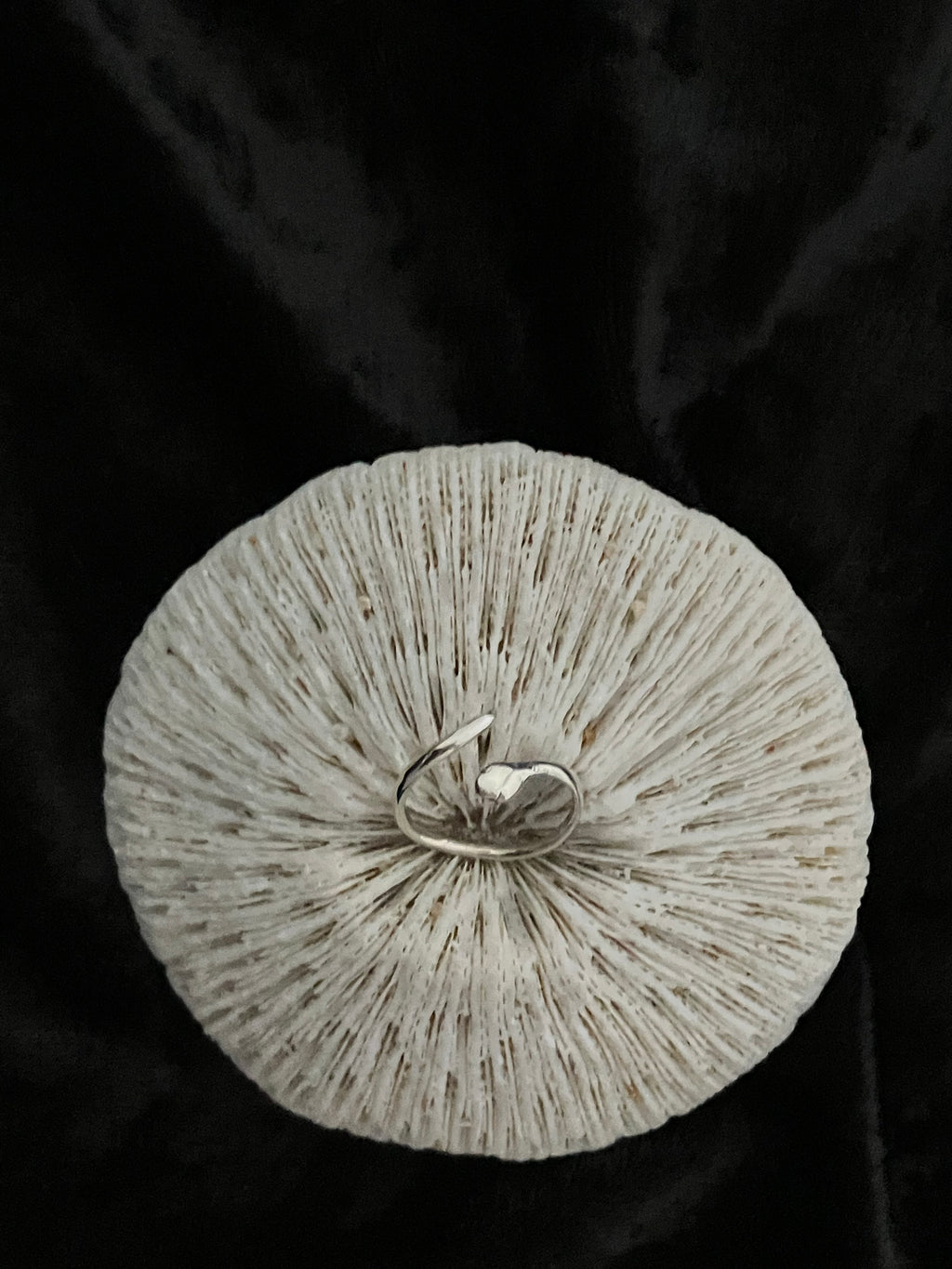 Open silver snake ring