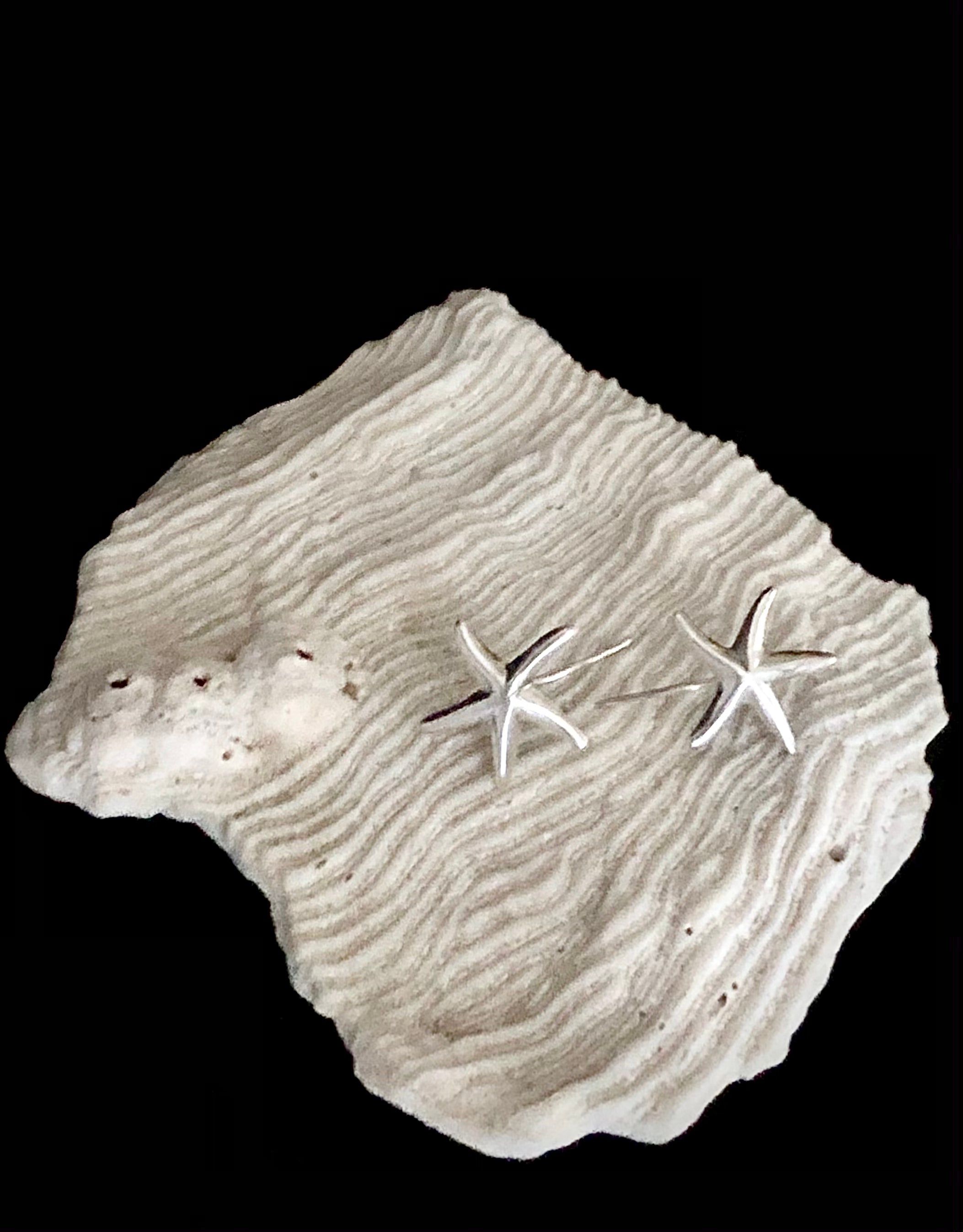 Silver Starfish earrings